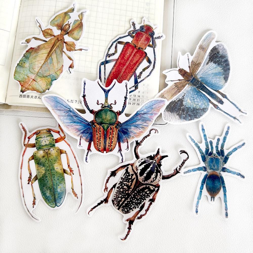 Insect Stickers, Beetle, Spider, Scrapbook Planner Decoration (38 pieces)