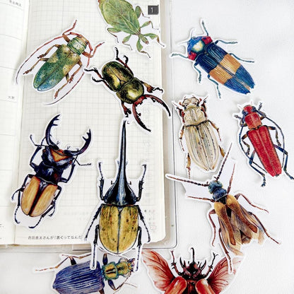 Insect Stickers, Beetle, Spider, Scrapbook Planner Decoration (38 pieces)