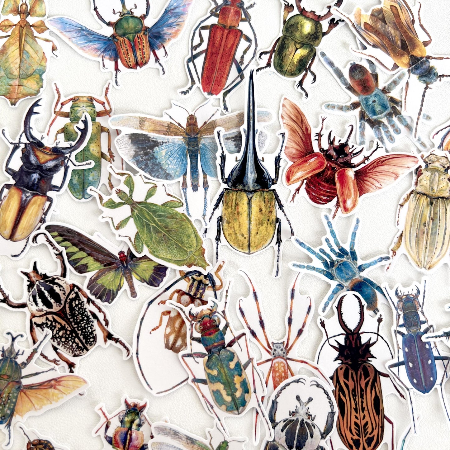 Insect Stickers, Beetle, Spider, Scrapbook Planner Decoration (38 pieces)