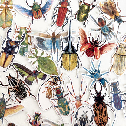 Insect Stickers, Beetle, Spider, Scrapbook Planner Decoration (38 pieces)
