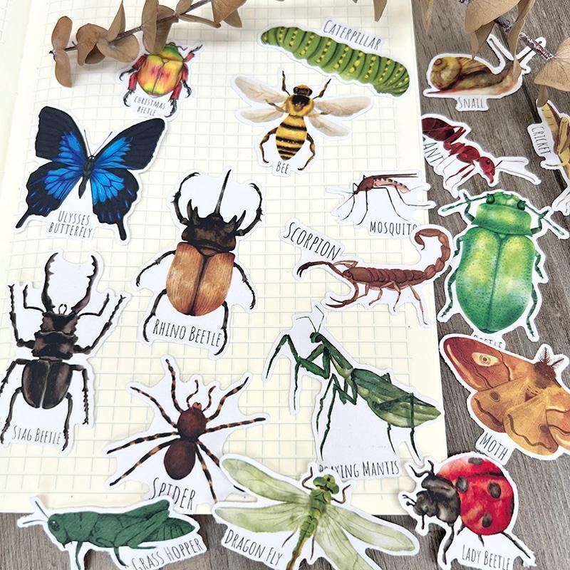 Insect Stickers, Beetle, Spider, Scrapbook Planner Decoration (38 pieces)