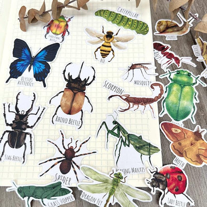 Insect Stickers, Beetle, Spider, Scrapbook Planner Decoration (38 pieces)