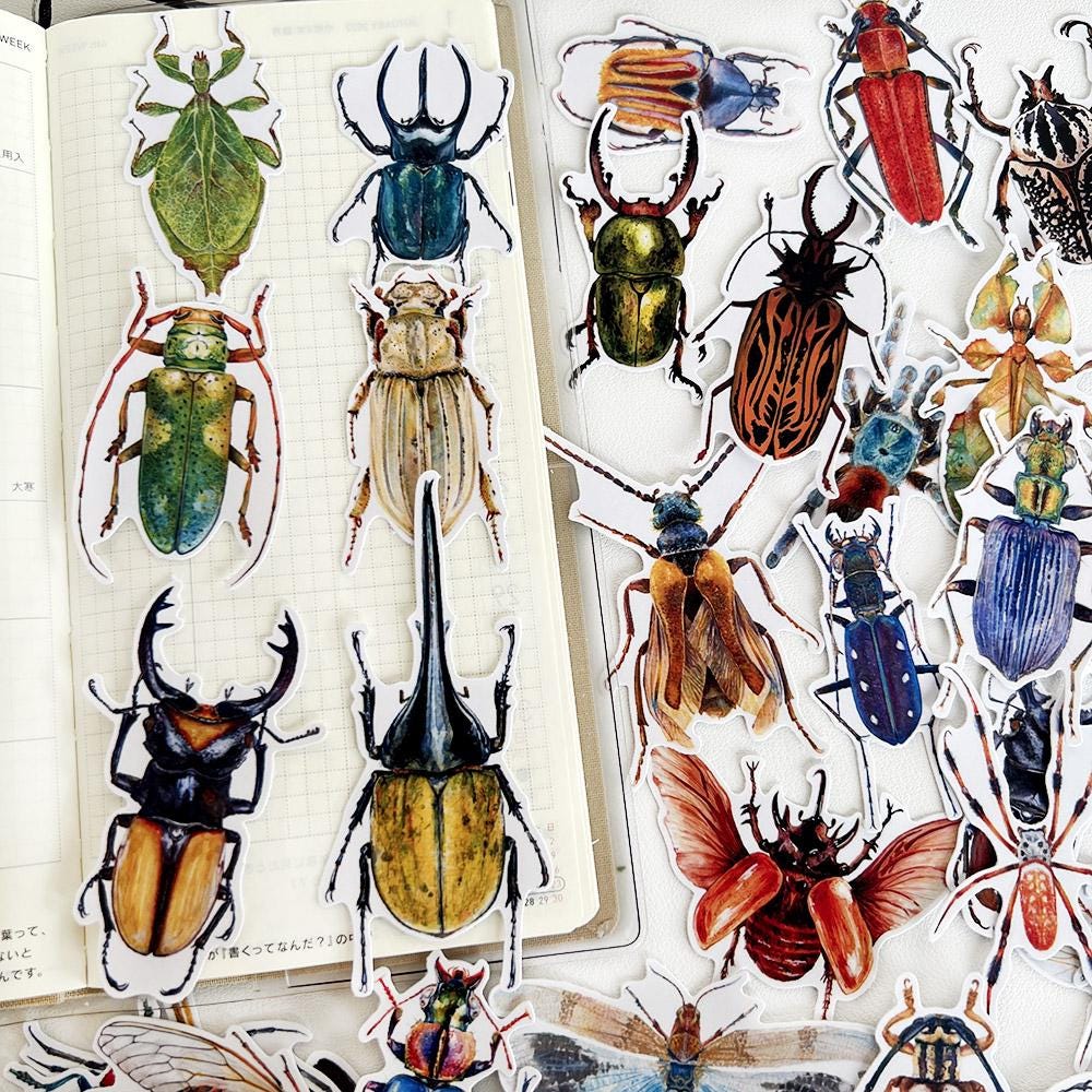 Insect Stickers, Beetle, Spider, Scrapbook Planner Decoration (38 pieces)