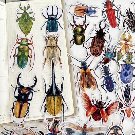 Insect Stickers, Beetle, Spider, Scrapbook Planner Decoration (38 pieces)