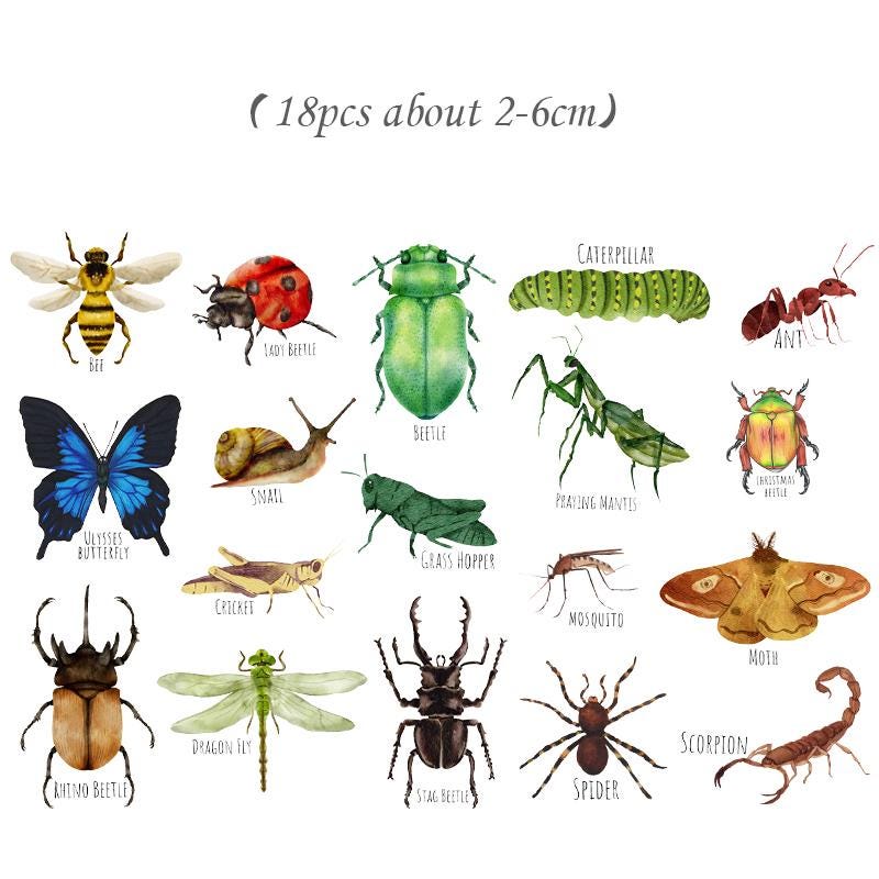 Insect Stickers, Beetle, Spider, Scrapbook Planner Decoration (38 pieces)