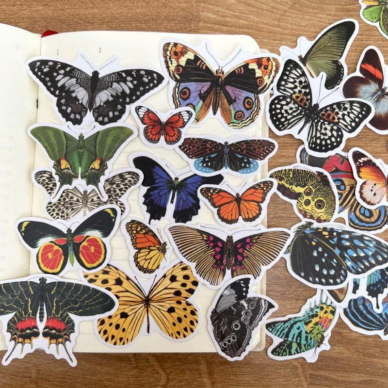 Butterfly Stickers, Vintage Nature Journaling & Scrapbook Decals