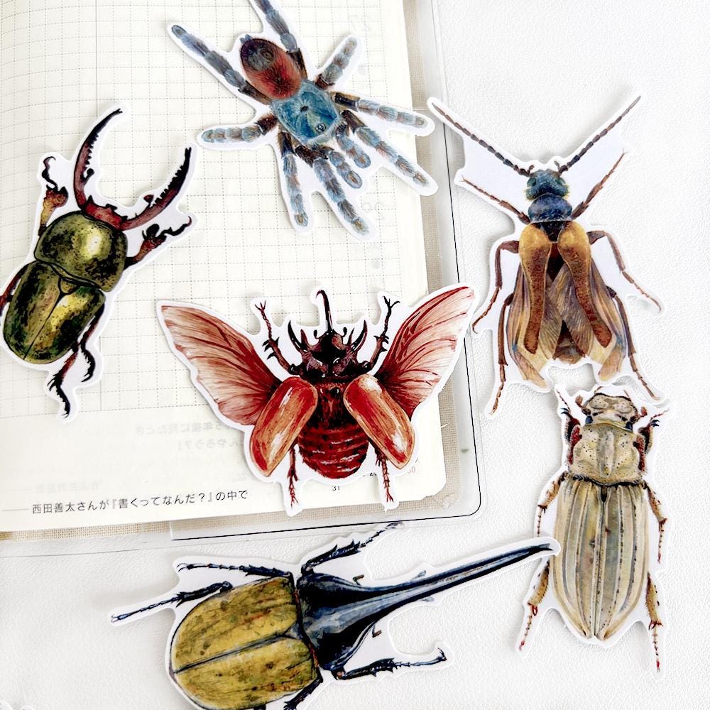 Insect Stickers, Beetle, Spider, Scrapbook Planner Decoration (38 pieces)